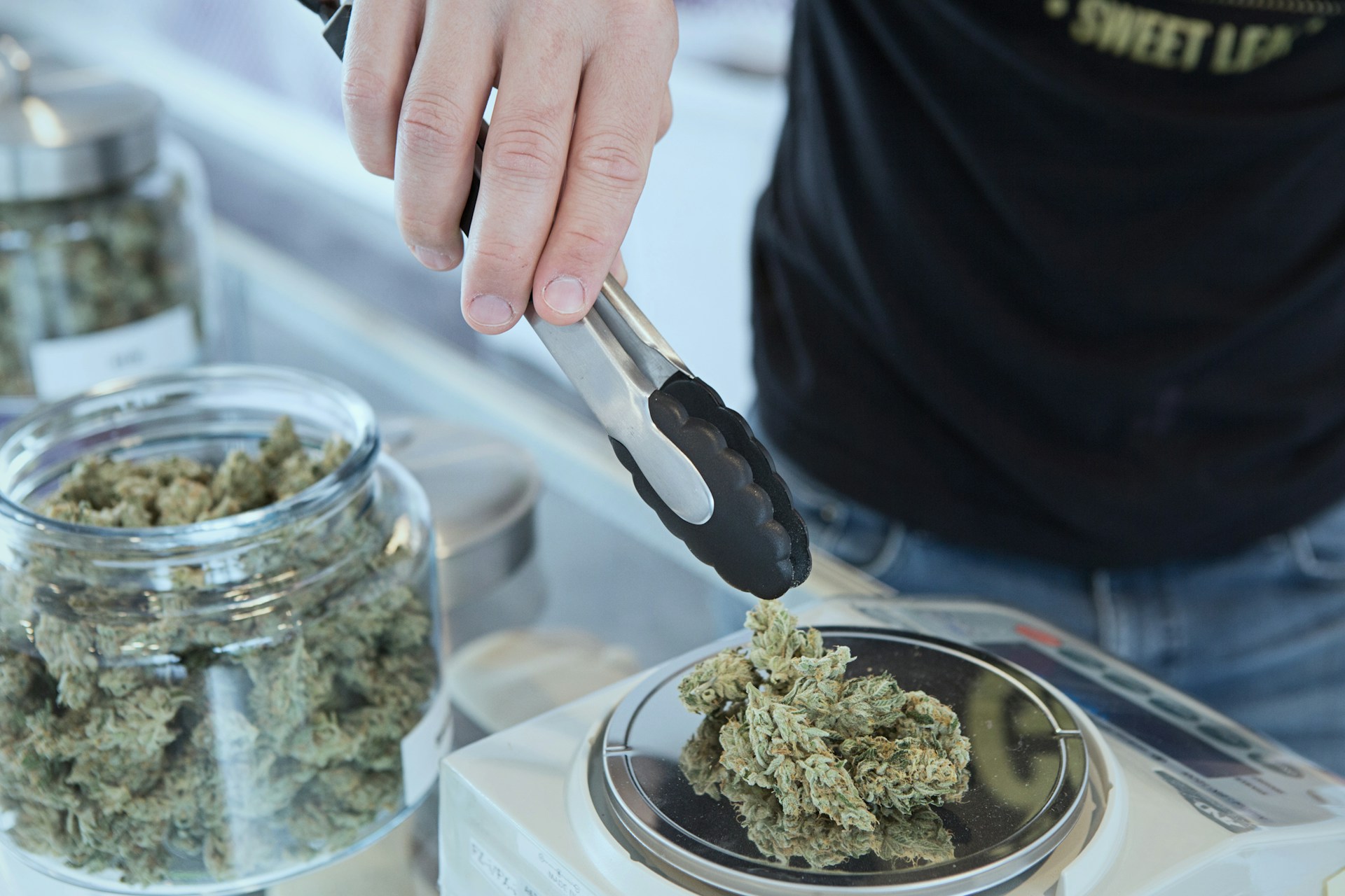 Cannabis krydsord