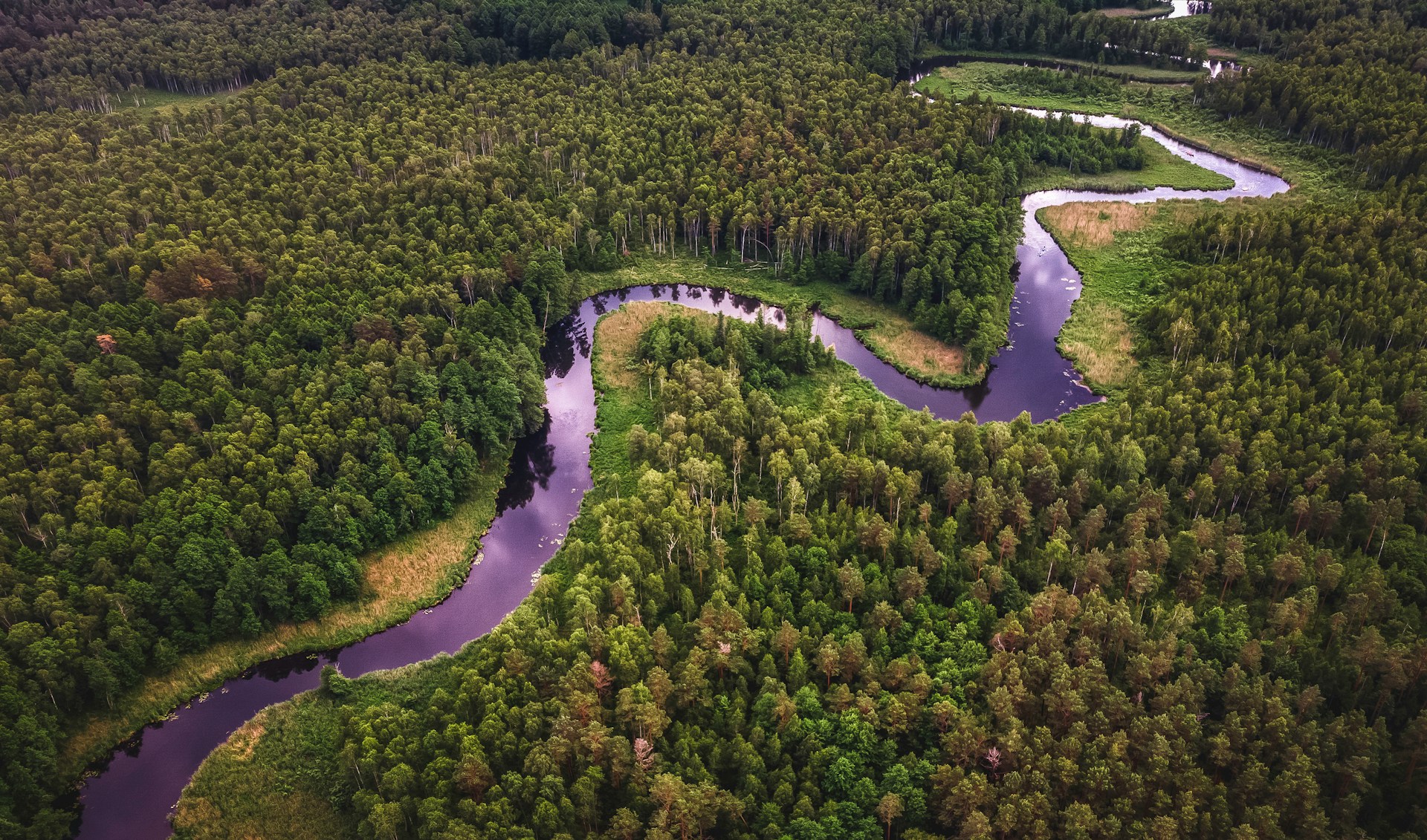 Flod i Sydamerika krydsord