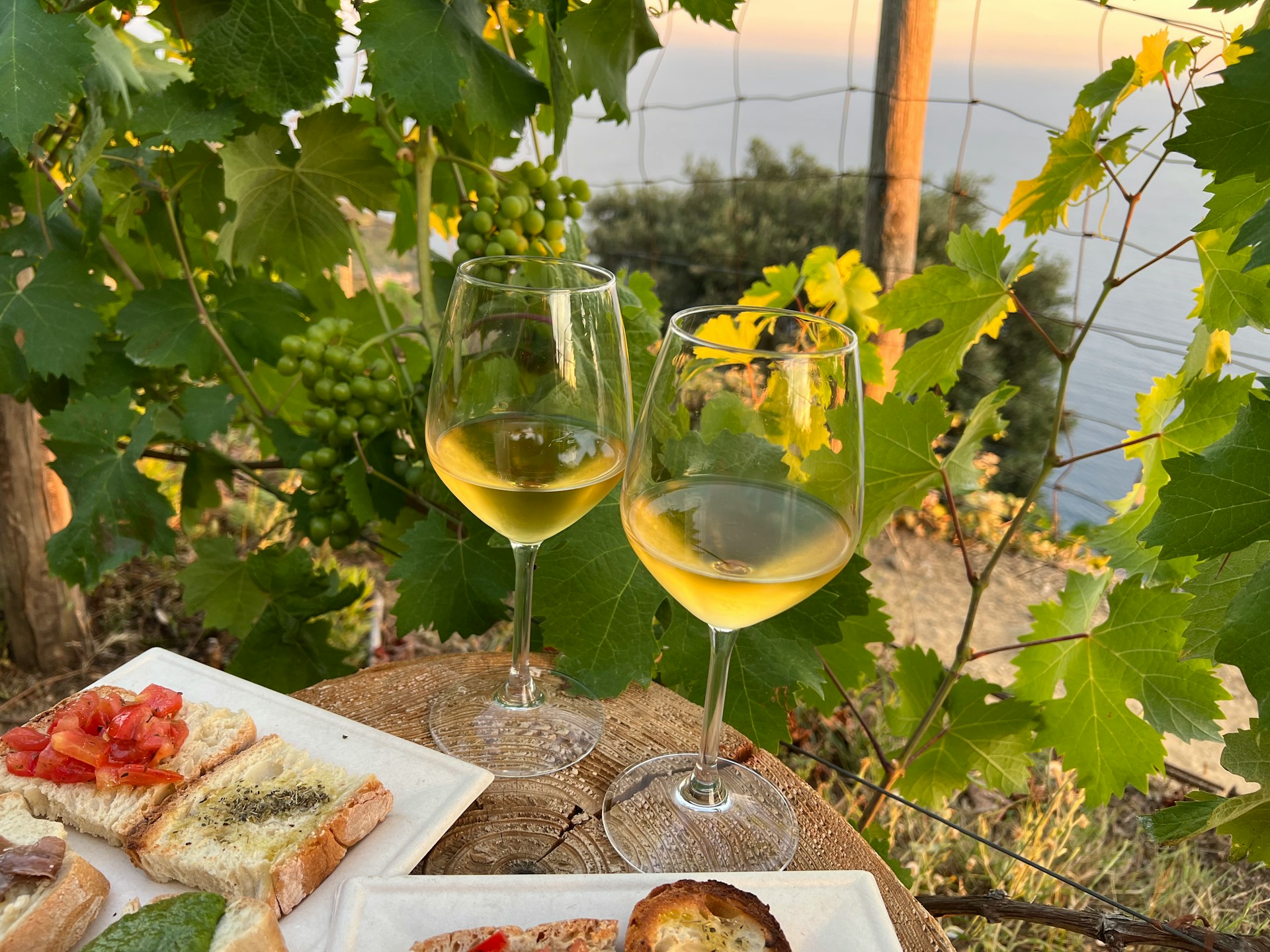Italiensk vin krydsord
