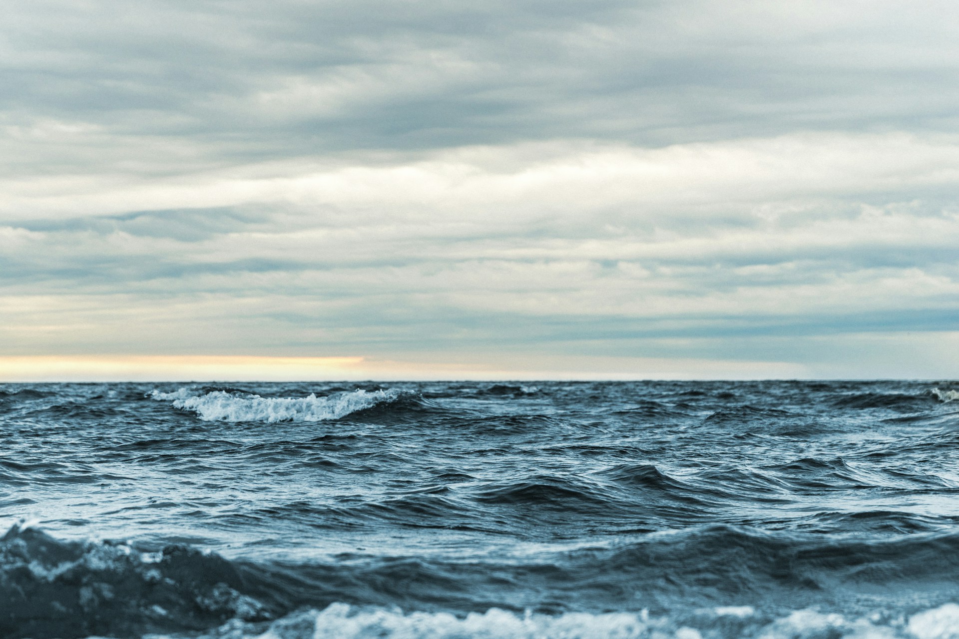 Ocean krydsord