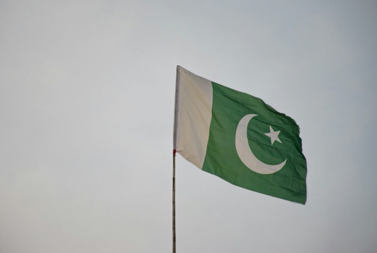 Sprog i Pakistan krydsord